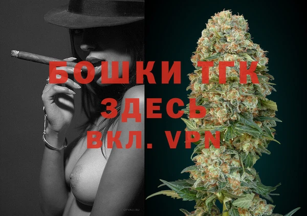 винт Алзамай