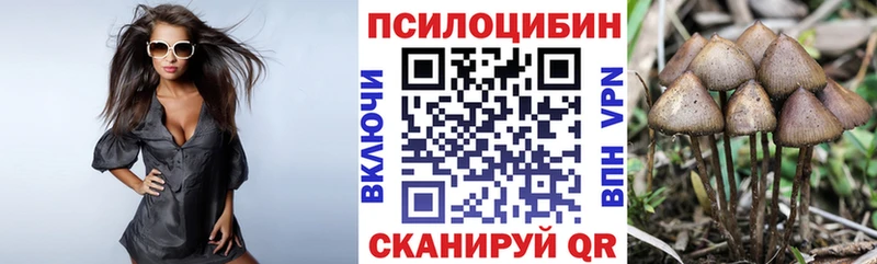 omg сайт  сколько стоит  Барыш  Галлюциногенные грибы MAGIC MUSHROOMS 